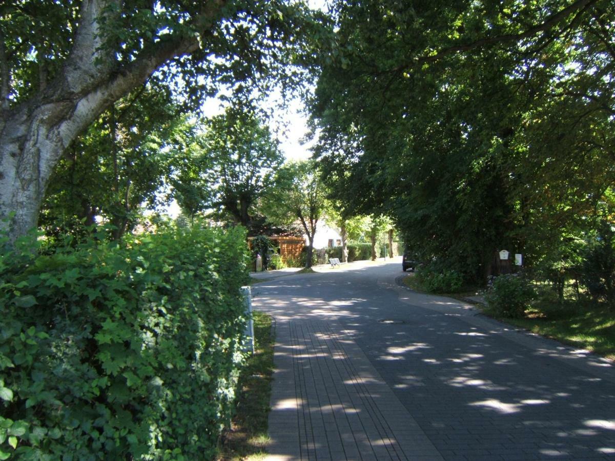 3-Zi-Ferienwohnung Piratennest 2 Zingst Dış mekan fotoğraf